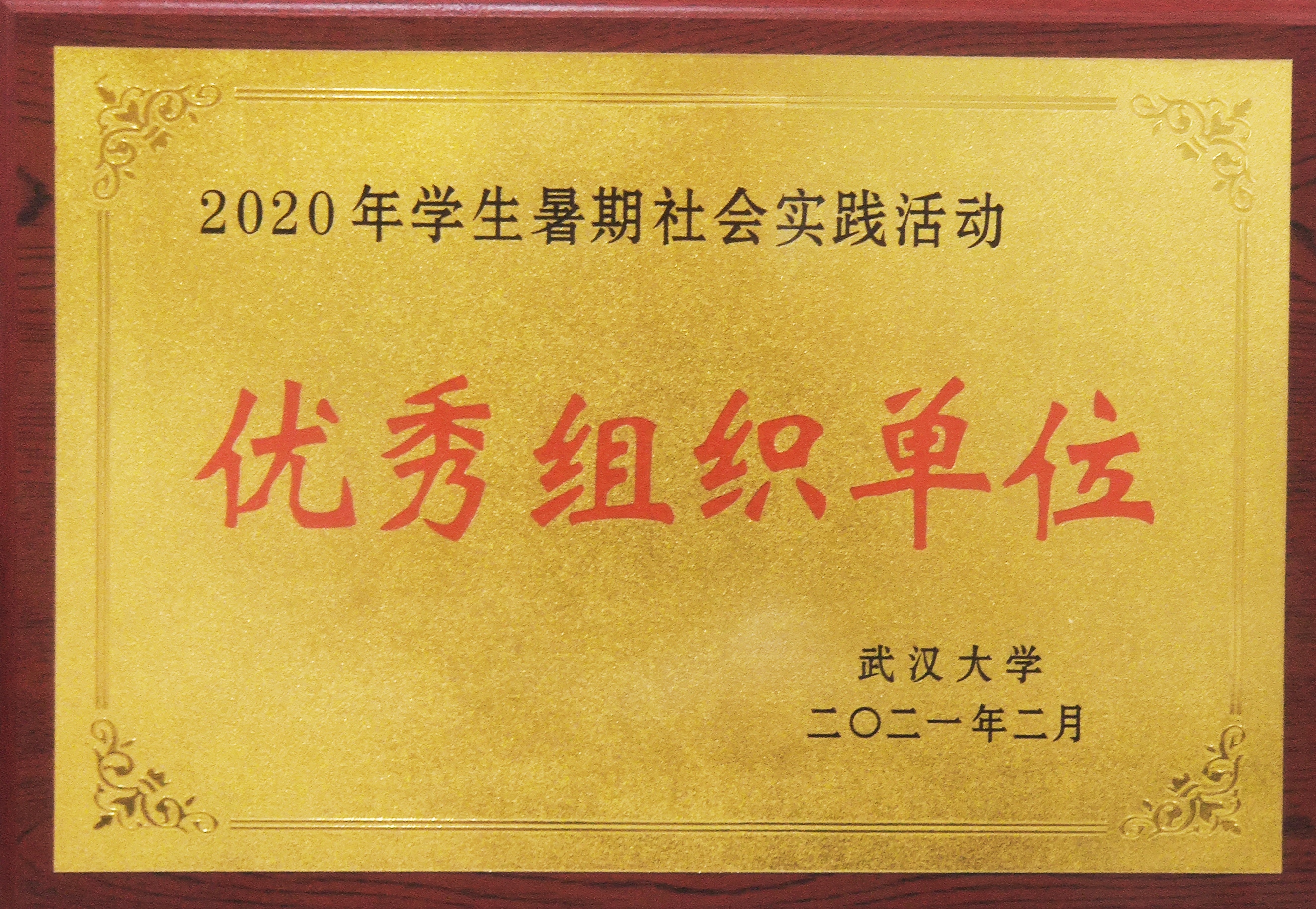 媒体链接 | 我院获评2020年暑期社会实践活动优秀组织单位